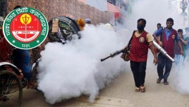 ধানমন্ডিতে ৮শ কর্মী নিয়ে মশক নিধনের মহড়া