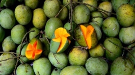 বাজারে আসছে রাজশাহীর আম