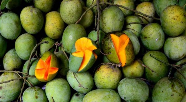 বাজারে আসছে রাজশাহীর আম